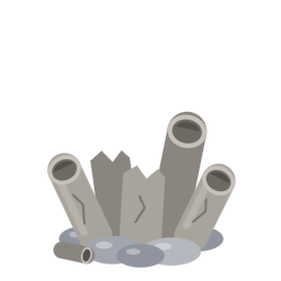 A withered coral